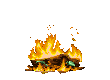Campfire2.png