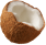 Coconutfruit.PNG