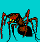 Red ant.png