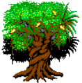 TREE1 FRONT.png